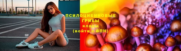 соль ск Краснотурьинск