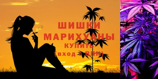 мдма Краснослободск